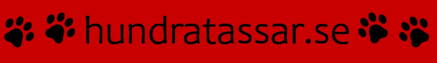 Leash Hundratassar - BLACK LOGO