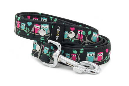 Leash Owl Love