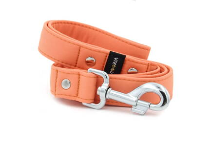Leash Salmon