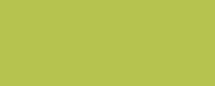Collar Hundratassar - matching Lime green
