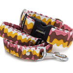 Collar Ice Cream with a leash