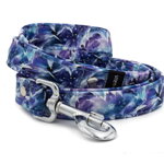 Collar Glacier