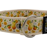 Collar Citrus Fiesta