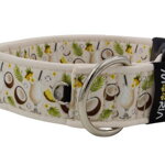 Collar Coconut Dream