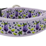 Collar Blueberry Bliss