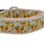 Collar Citrus Fiesta