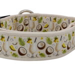 Collar Coconut Dream