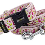 Collar Berry Splash