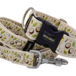 Collar Coconut Dream
