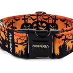 Collar Halloween