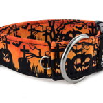 Collar Halloween