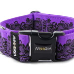 Collar Lace - Color Fuchsia Violet