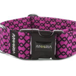 Collar Netting - Color Magenta
