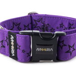 Collar Stars - Color Fuchsia Violet