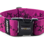 Collar Stars - Color Magenta