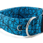 Collar Cracks - Detail of D-ring