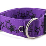 Collar Stars - Detail of D-ring