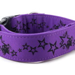 Collar Stars - Detail of the pattern