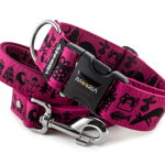 Collar dogXmas with a leash