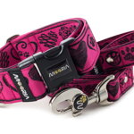 Leash Hearts with the collar