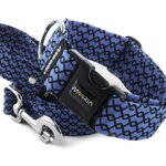 Collar Netting with a leash