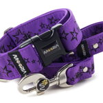 Leash Stars with the collar