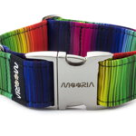 Collar Rainbow lines with metal buckle