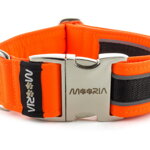 Collar Reflex Neon Orange II with metal buckle