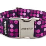 Collar Violet Dots with metal buckle