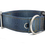 Collar Denim - Detail of D-ring