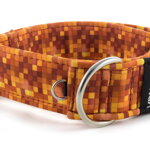 Collar Digital Gold - Detail of D-ring