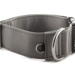 Collar Gray - Detail of D-ring