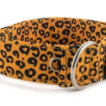 Collar Jaguar - Detail of D-ring