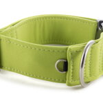 Collar Lime Green - Detail of D-ring