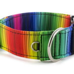 Collar Rainbow lines - Detail of D-ring