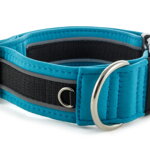 Collar Reflex Dark Cyan II - Detail of D-ring