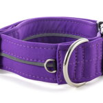 Collar Reflex Fuchsia Violet I - Detail of D-ring