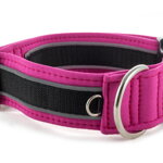 Collar Reflex Magenta II - Detail of D-ring