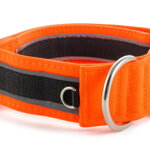 Collar Reflex Neon Orange II - Detail of D-ring