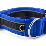 Collar Reflex Dark Blue II - Detail of D-ring