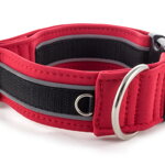 Collar Reflex Royal Red II - Detail of D-ring