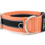 Collar Reflex Salmon II - Detail of D-ring