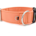 Collar Salmon - Detail of D-ring