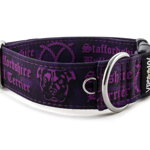 Collar Staffordshire Bull Terrier Violet - Detail of D-ring