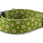 Collar Daisies - Detail of the pattern