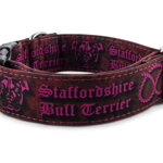 Collar Staffordshire Bull Terrier Pink - Detail of the pattern