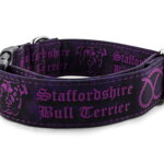 Collar Staffordshire Bull Terrier Violet - Detail of the pattern