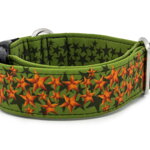 Collar Stars on Green - Detail of the pattern