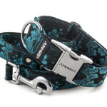 Leash Abstract Blue with the collar