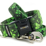 Collar Abstract Green with a leash